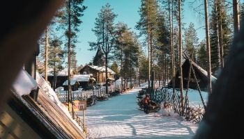 Higher Study in Finland