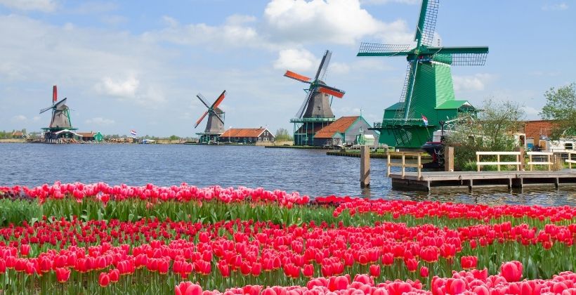 Requirements on How to Get Dutch Citizenship